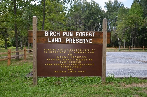 Birch Run Park